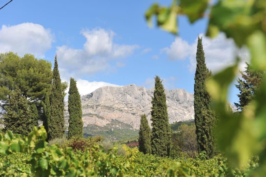 La Bastide - Le Grenache - Le Syrah Au Domaine Chateau Henri Bonnaud Le Tholonet Ngoại thất bức ảnh