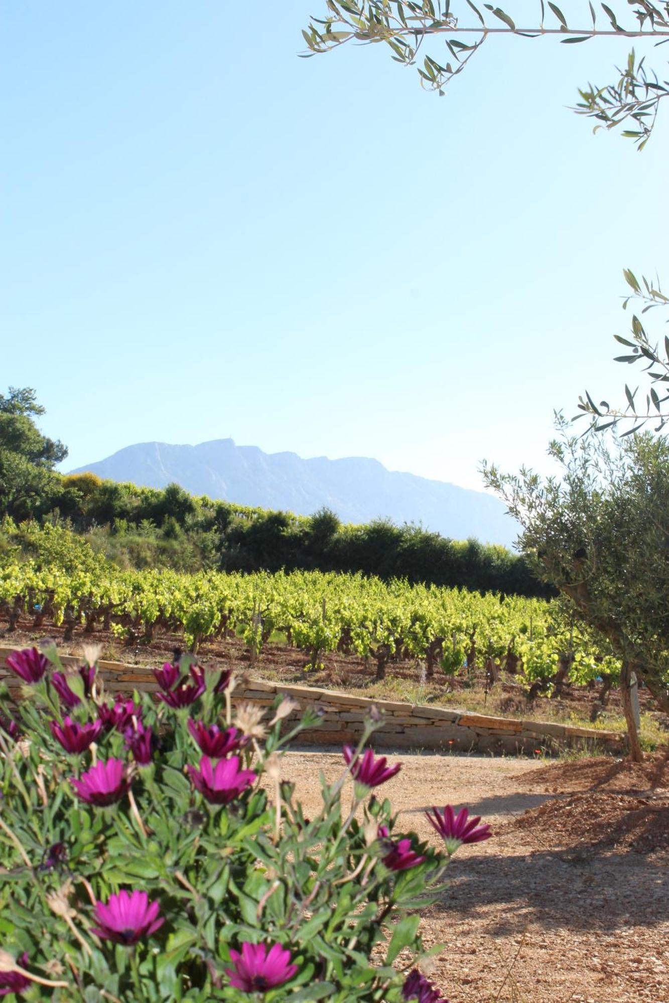 La Bastide - Le Grenache - Le Syrah Au Domaine Chateau Henri Bonnaud Le Tholonet Ngoại thất bức ảnh