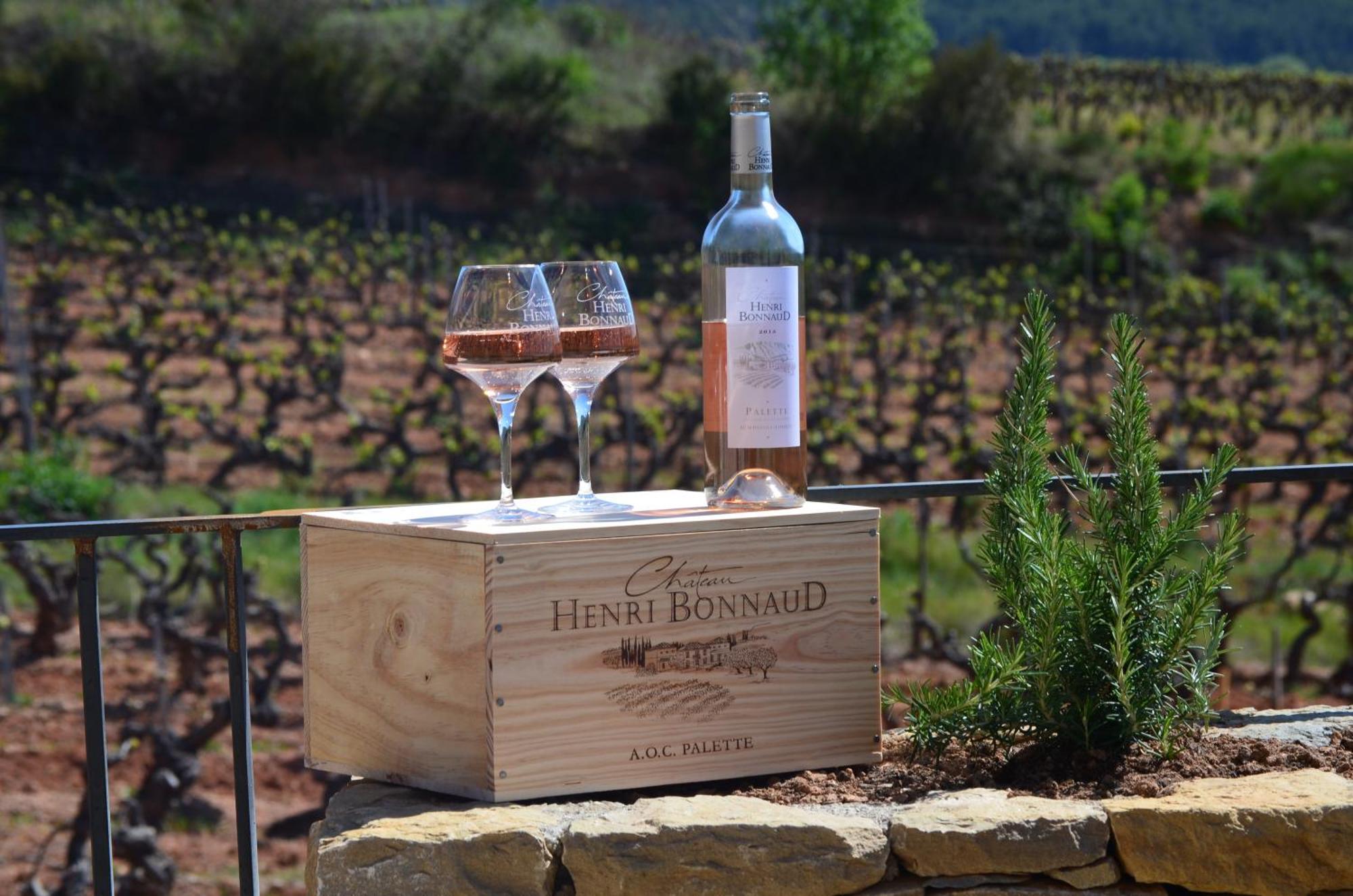 La Bastide - Le Grenache - Le Syrah Au Domaine Chateau Henri Bonnaud Le Tholonet Ngoại thất bức ảnh